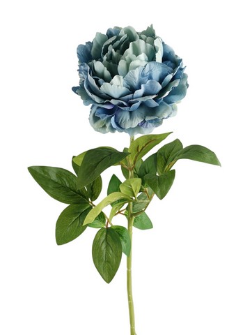 PEONIA ARMONY 72CM BL