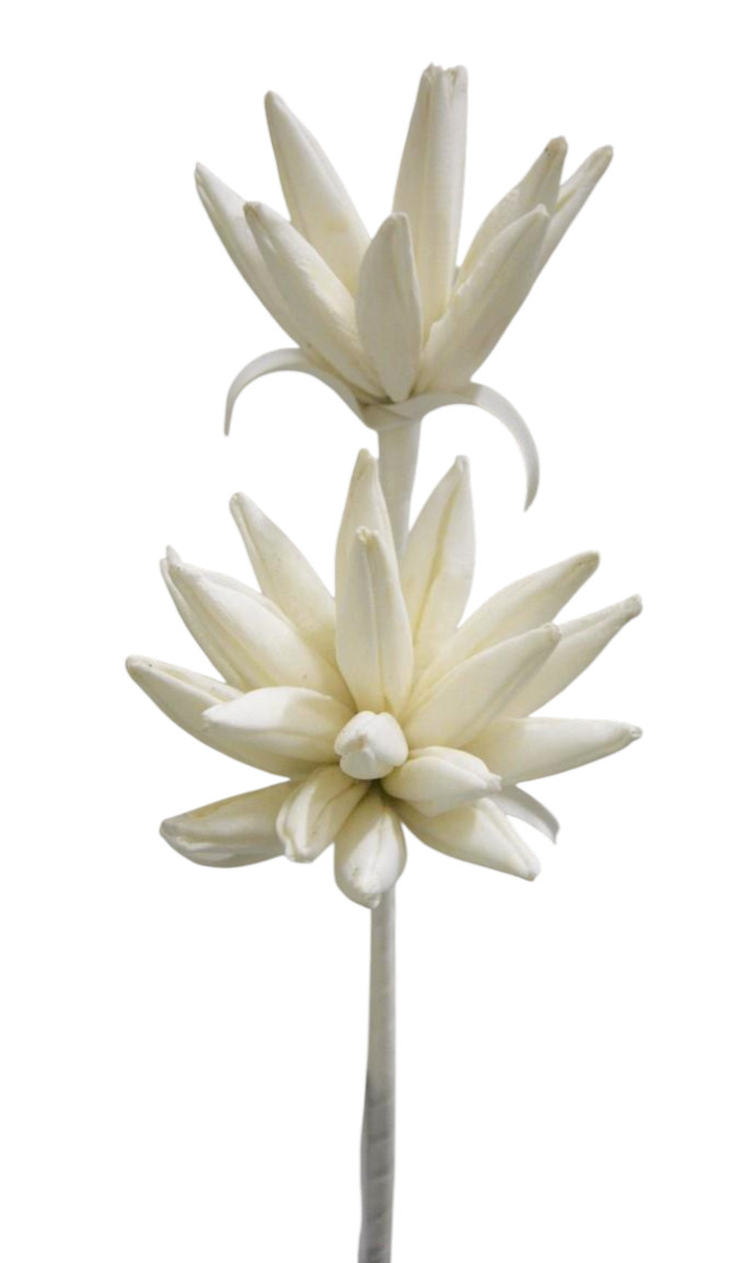 RODODENDRO FOAM 47CM WH