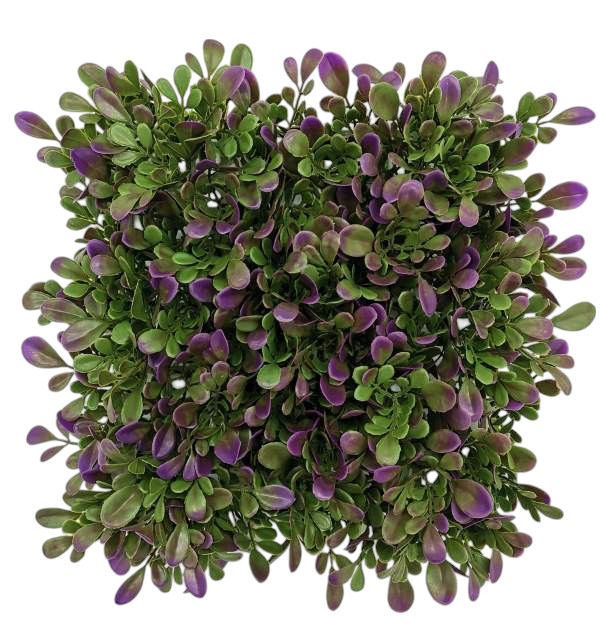 BOXWOOD MATTONELLE 25X25CM PU