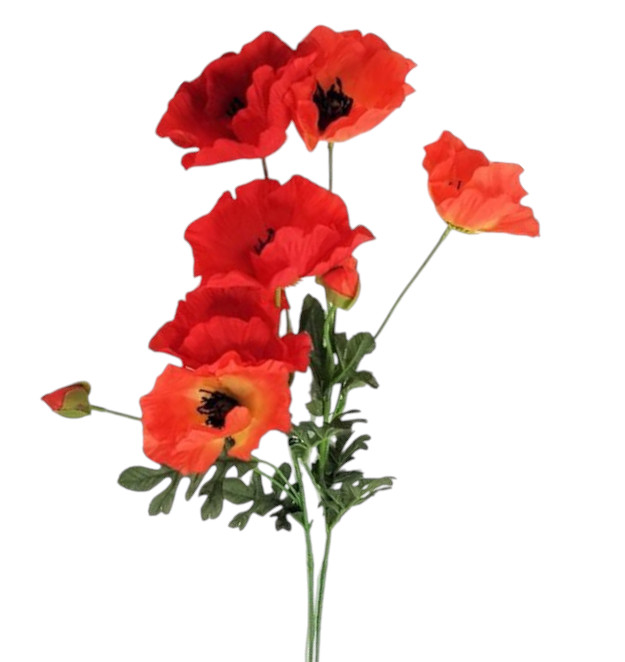 POPPY DELTA X5 72CM ASS