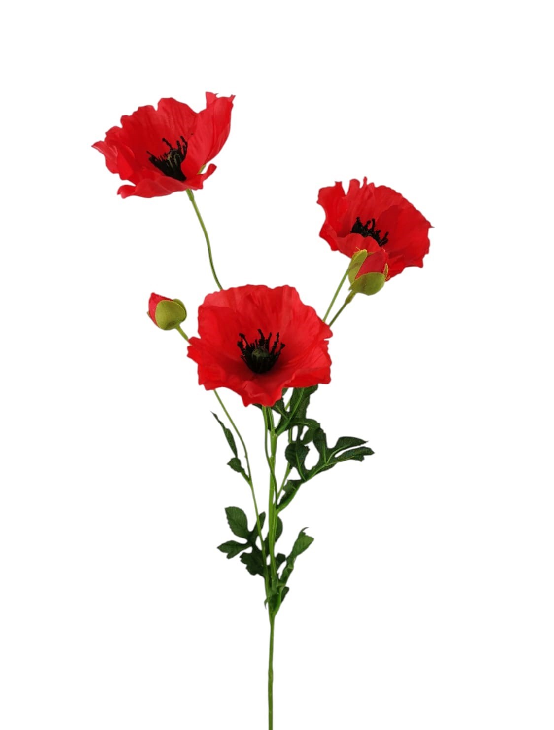 POPPY DELTA X5 72CM RD
