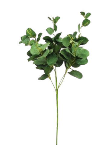 POPULUS X5 64CM GR