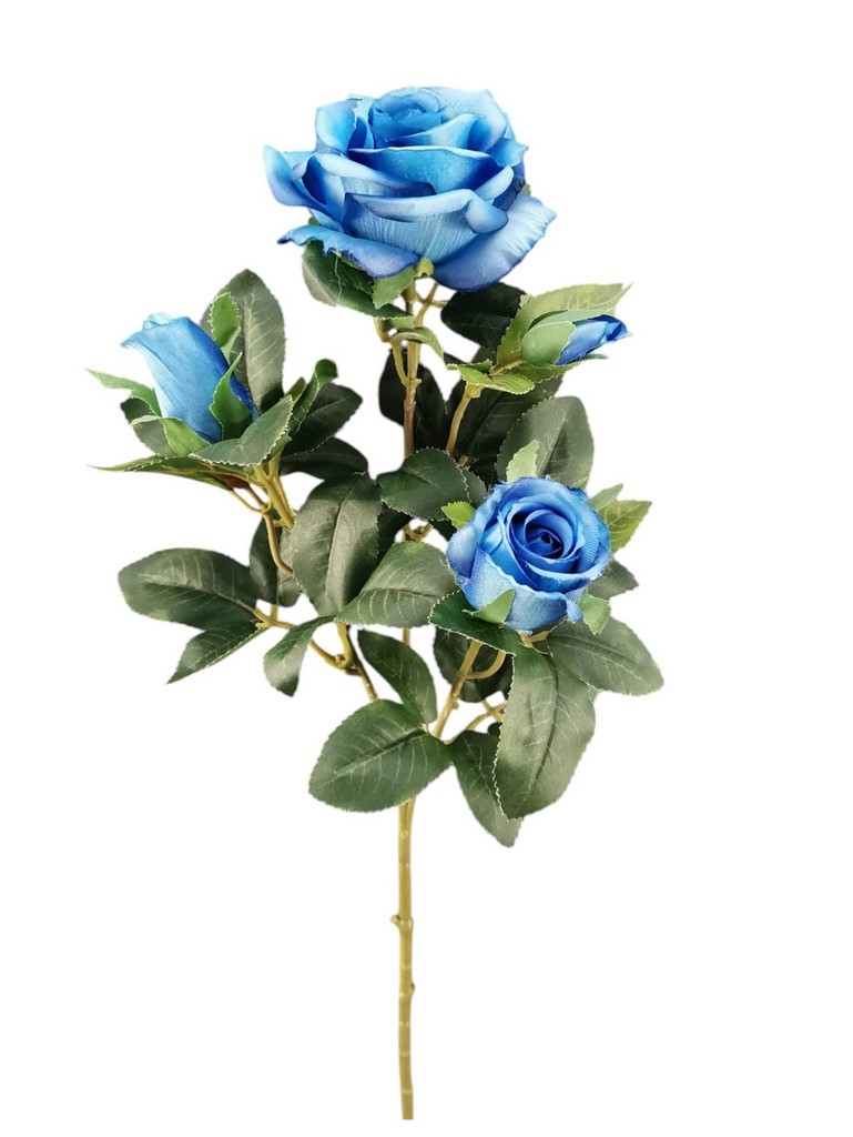 ROSA MAYA X3 67CM BL
