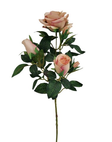 ROSA MAYA X3 67CM MV