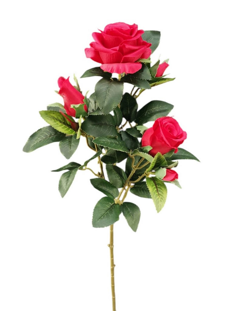 ROSA MAYA X3 67CM RD
