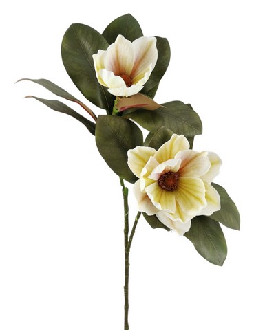 MAGNOLIA SPRAY X2 FLS 78CM GR