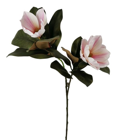 MAGNOLIA SPRAY X2 FLS 78CM PK
