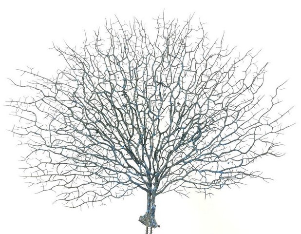 C009BL