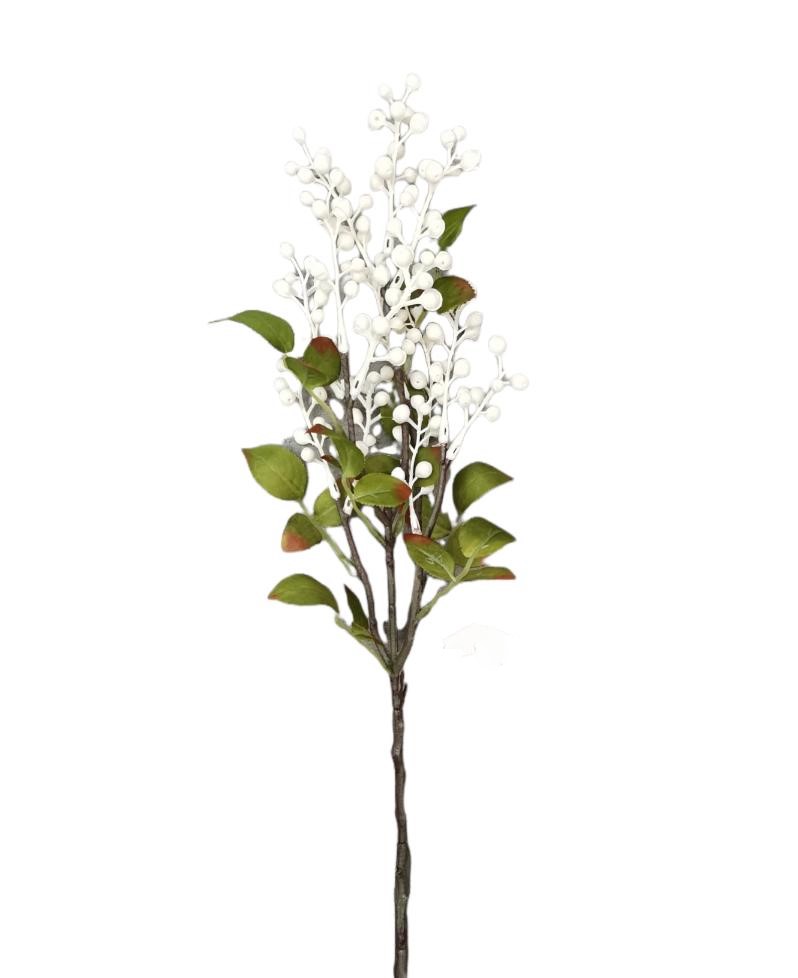 CL005CR