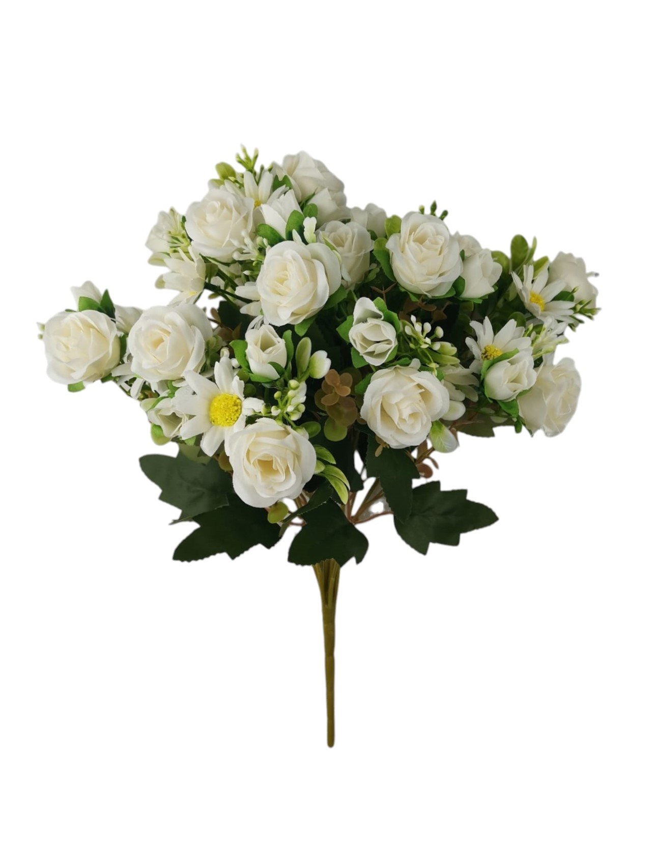 BUSH ROSELLINA X12 38CM CR