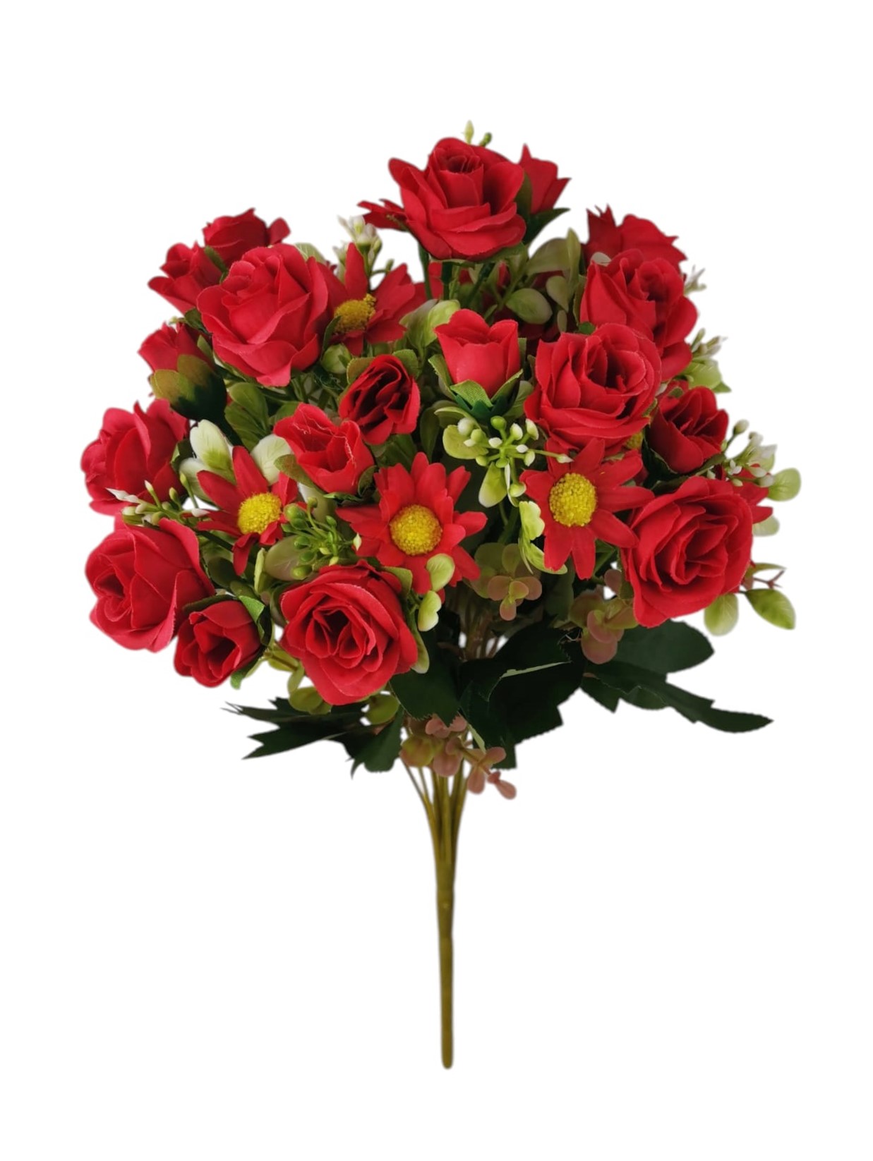 BUSH ROSELLINA X12 38CM RD