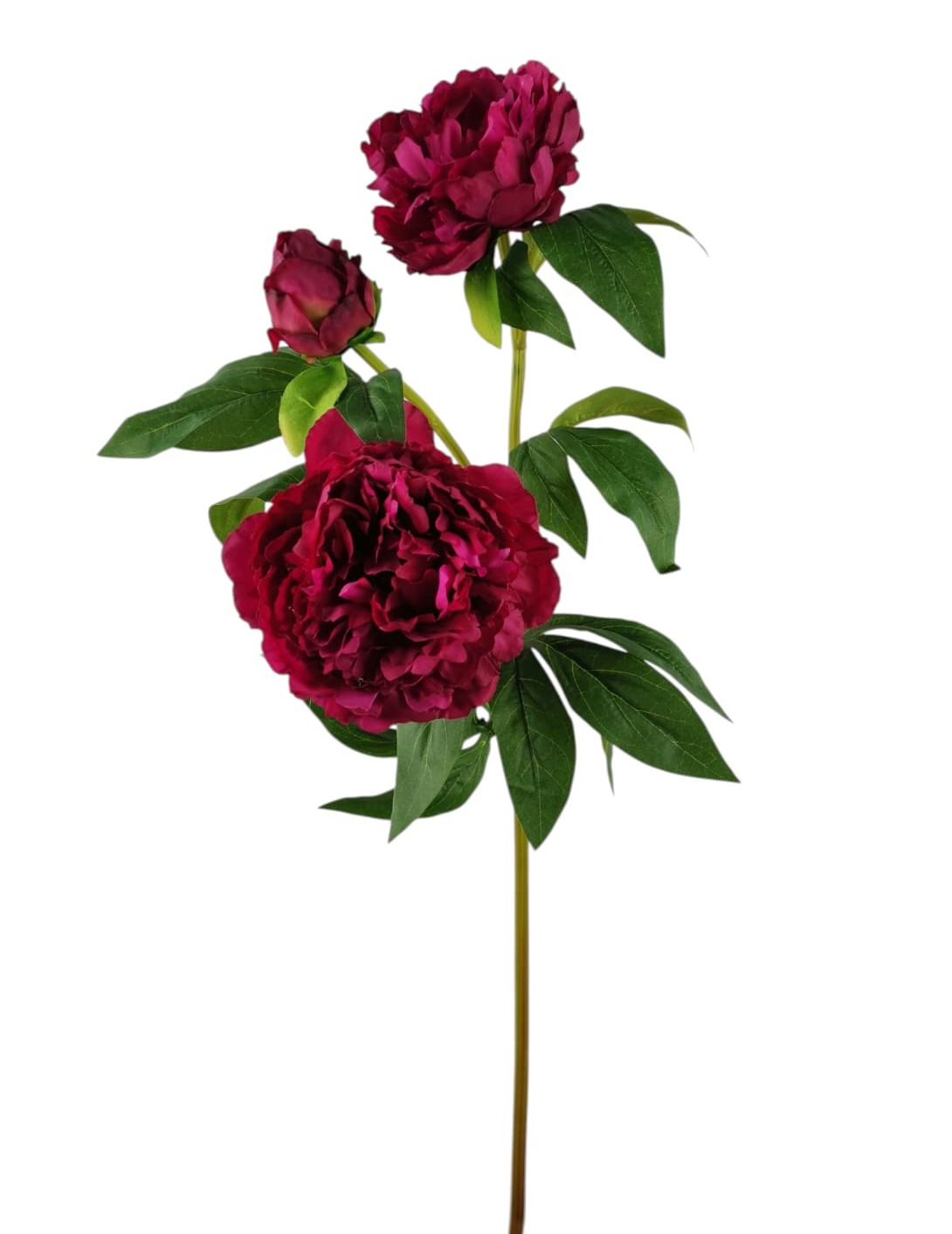 PEONIA SPRAY X3 75CM BT