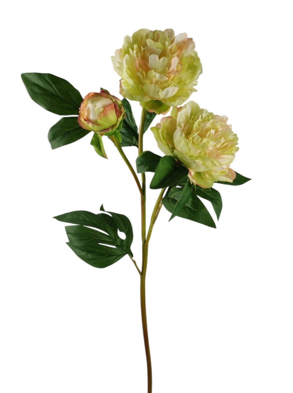PEONIA SPRAY X3 75CM GR