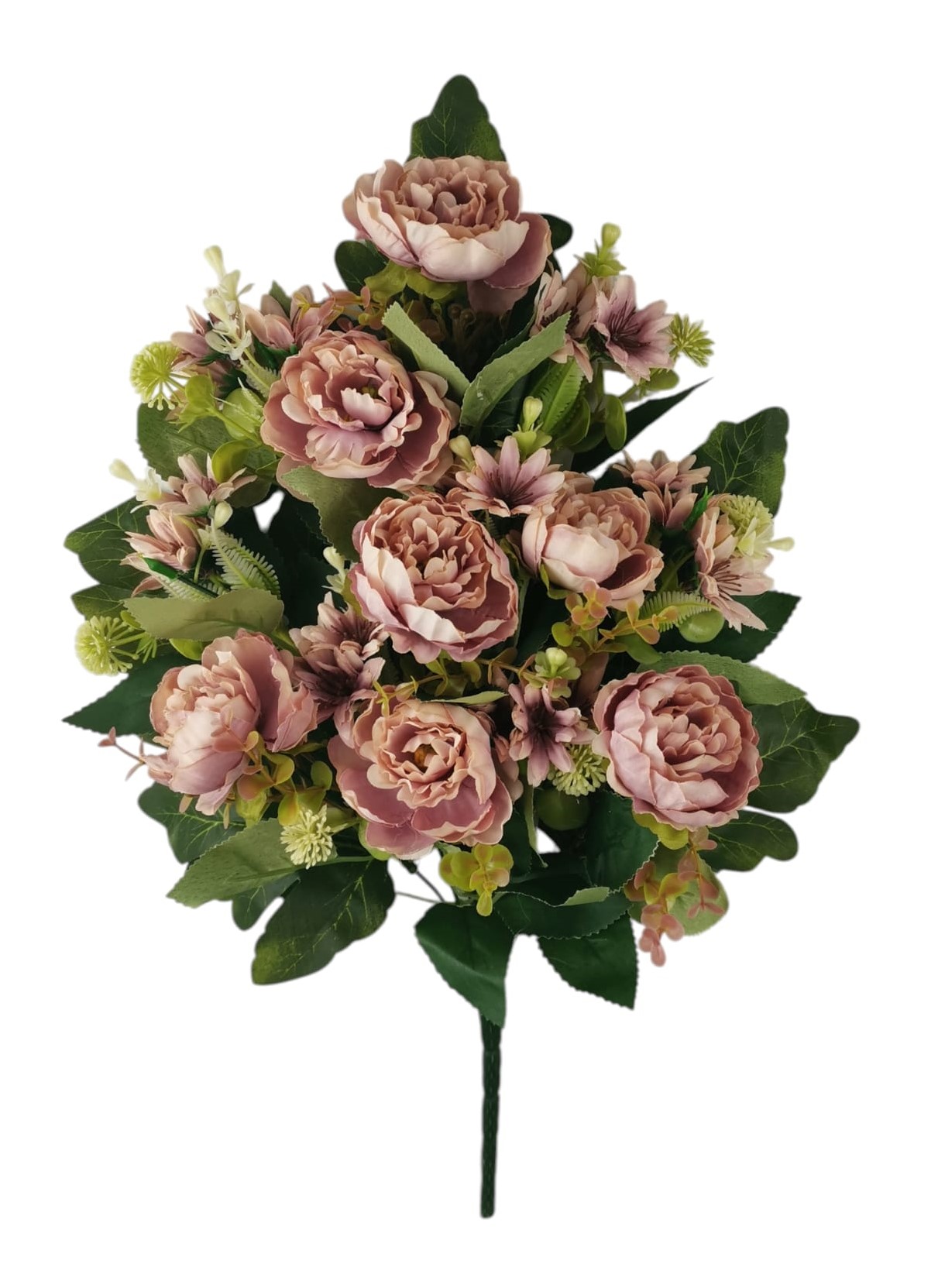 FR ROSELLINA ASTER X14 50CM MV