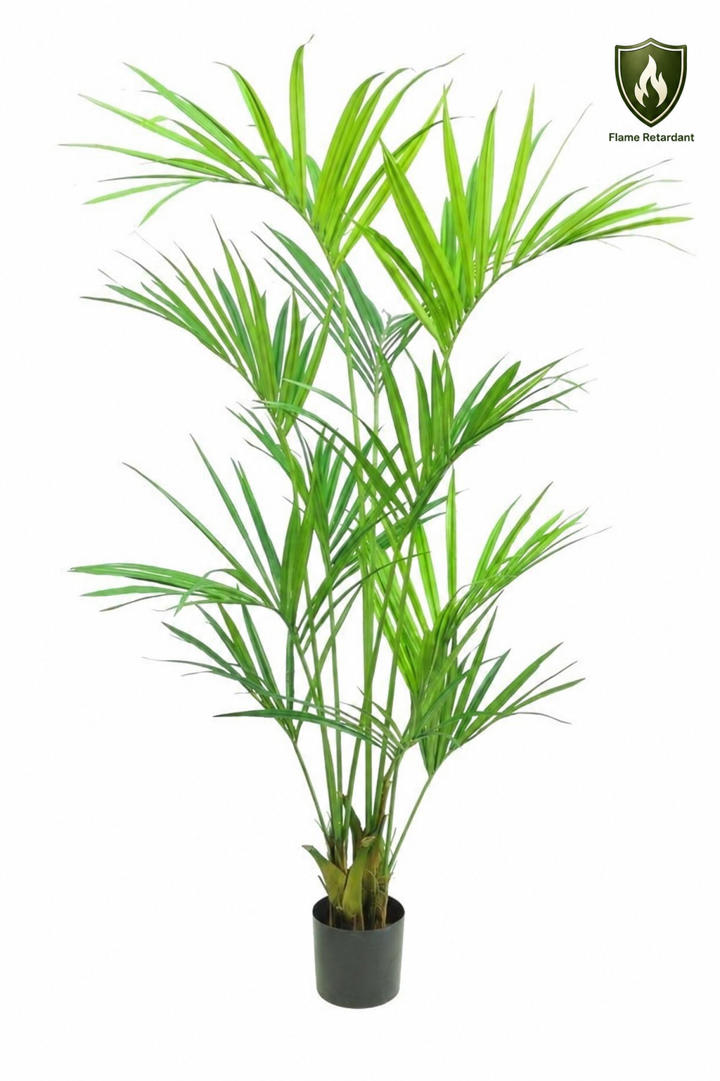 FLAME RETARDANT KENTIA PALM X11 IN VASO 192LVS 180CM GR