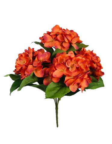 FX006OR