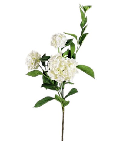 ORTENSIA SPRAY X3 120CM CR