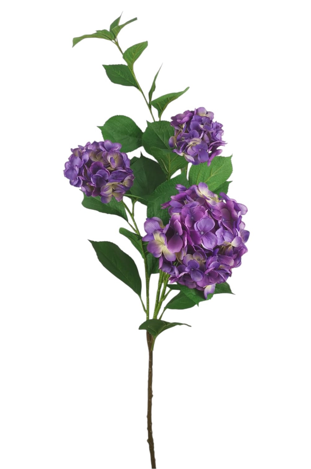 ORTENSIA SPRAY X3 120CM LV