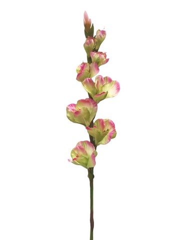 GLADIOLO SPRAY 85CM GRPK