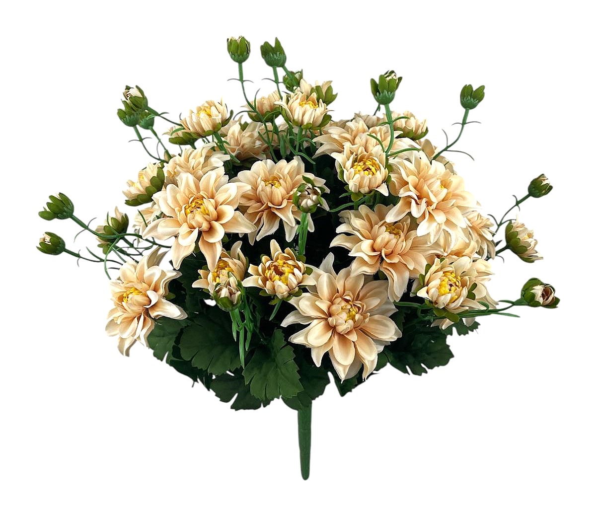ZINNIA BUSH X36 45CM BG
