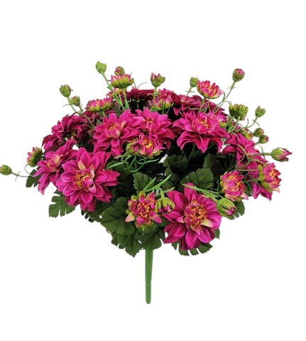 ZINNIA BUSH X36 45CM BT
