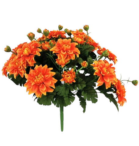 ZINNIA BUSH X36 45CM OR