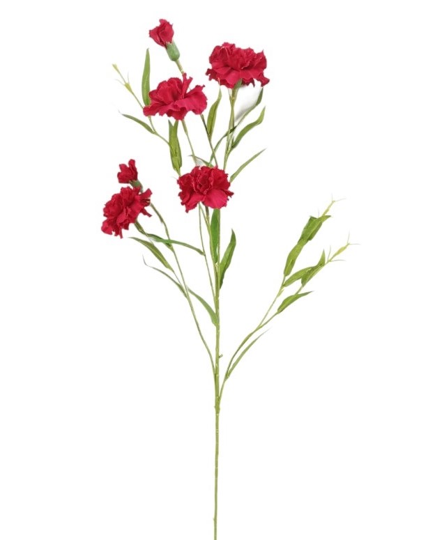 GAROFANELLA SPRAY X6 75CM RD