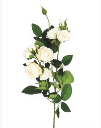 ROSELLINA GRACE SPRAY X9 75CM CR