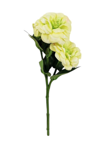 ZINNIA SPRAY X3 35CM GR