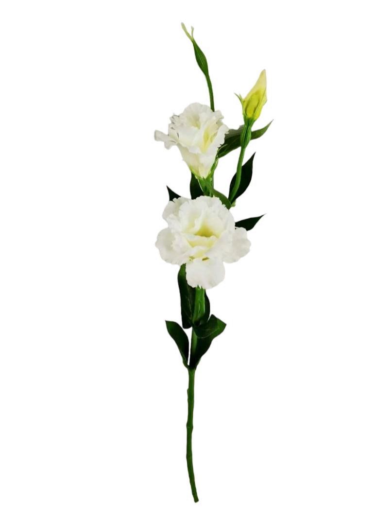LISIANTHUS 60CM CR
