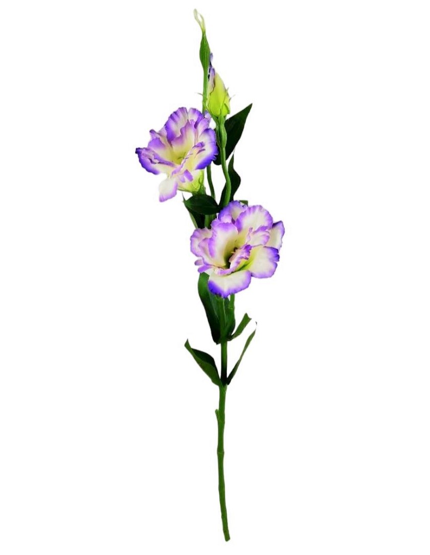 LISIANTHUS 60CM LV