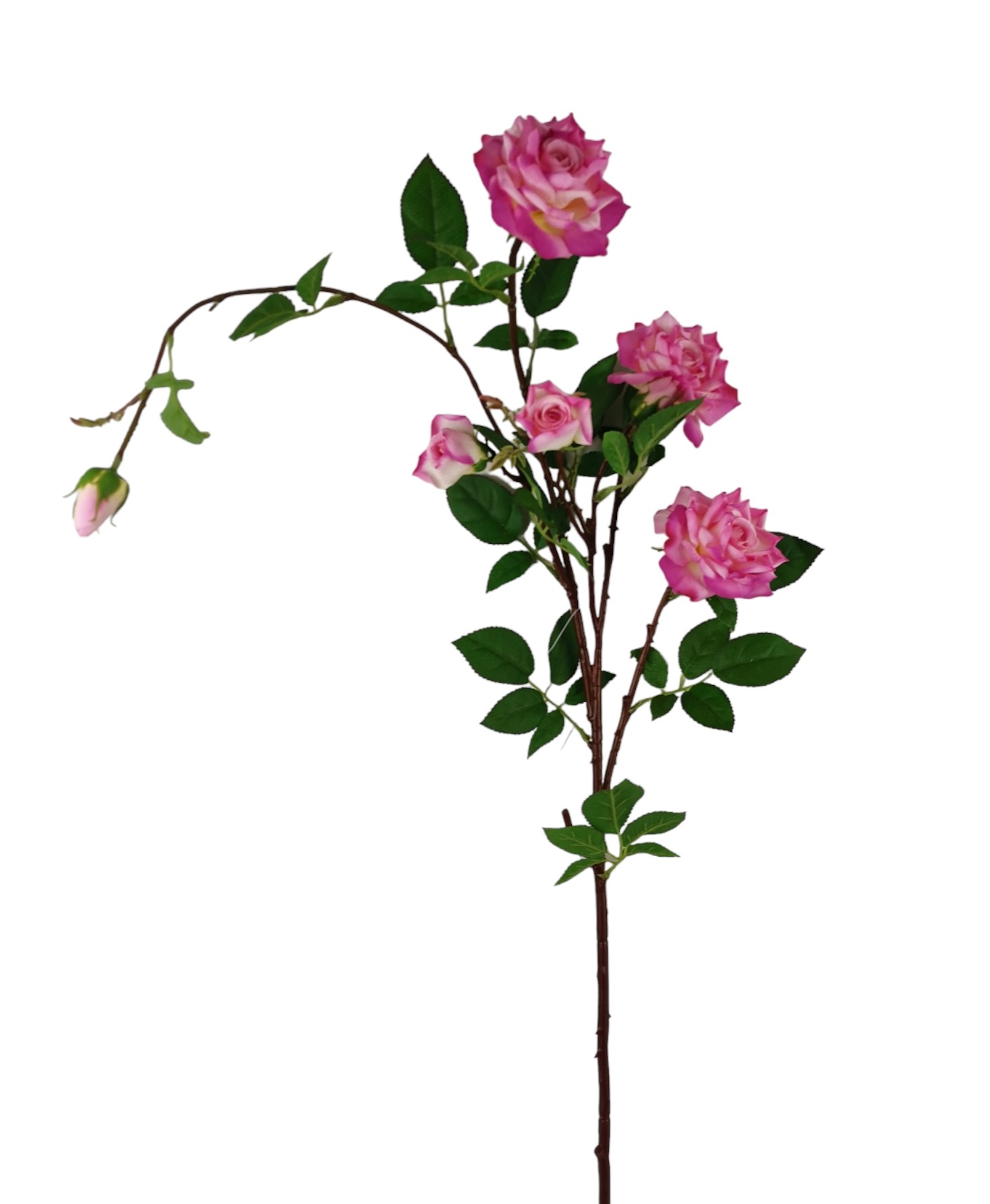 ROSA GIANT SPRAY 115CM BT
