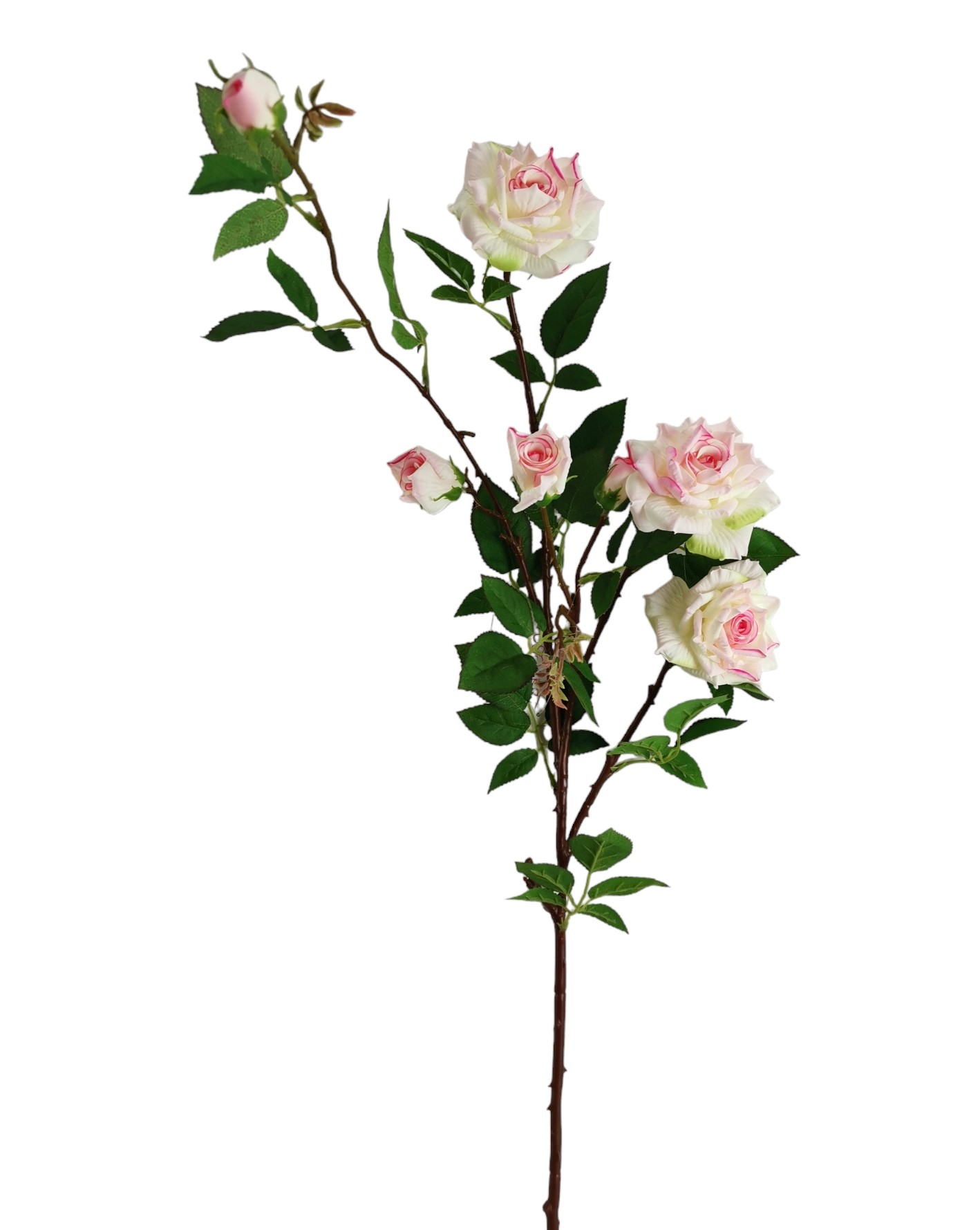 ROSA GIANT SPRAY 115CM CRBT