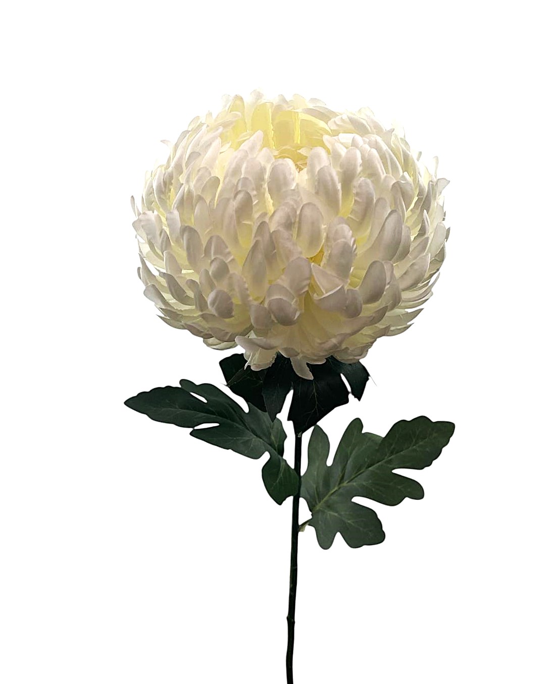 CRISANTEMO SPRAY D18CM 86CM CR