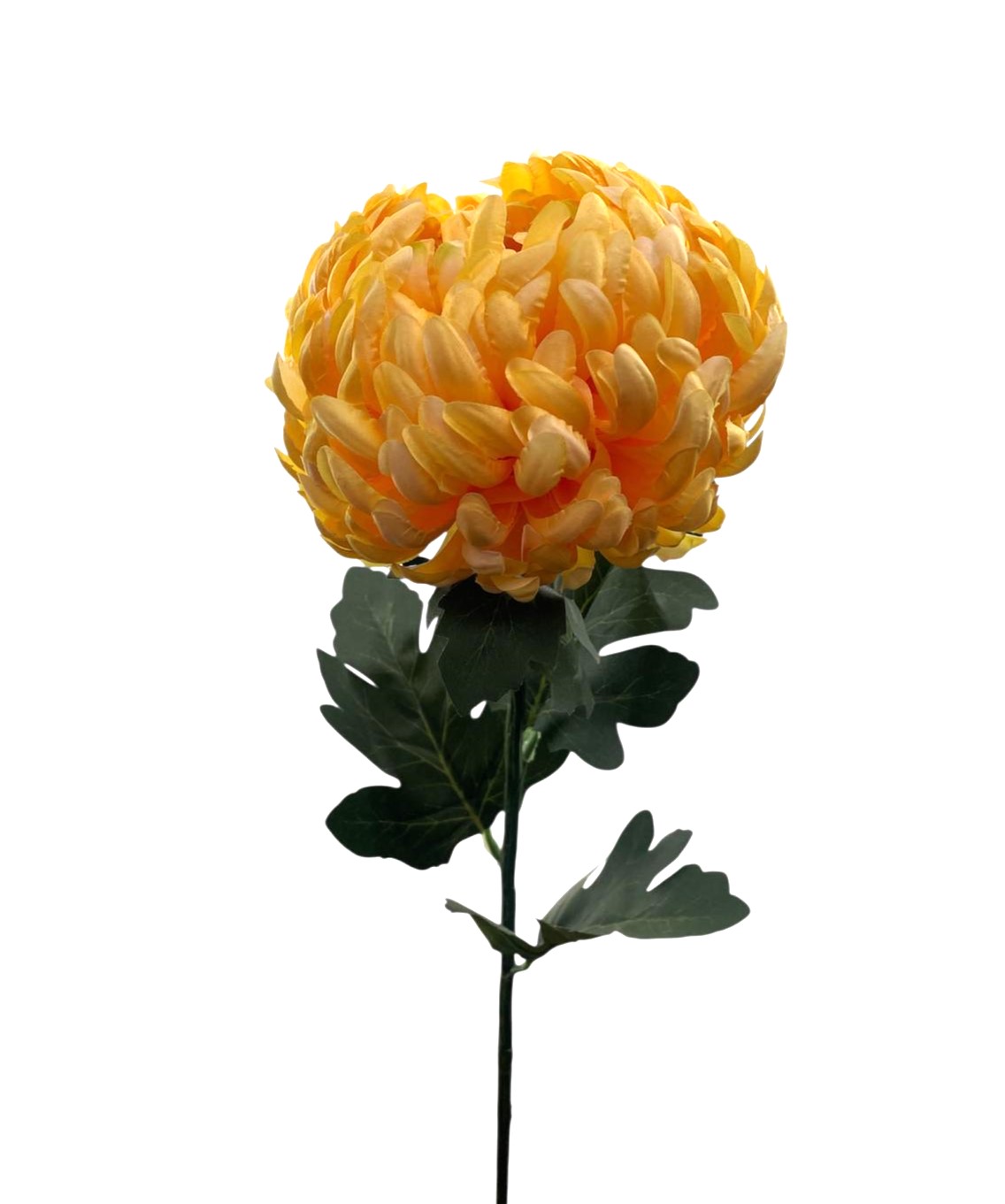 CRISANTEMO SPRAY D18CM 86CM YL