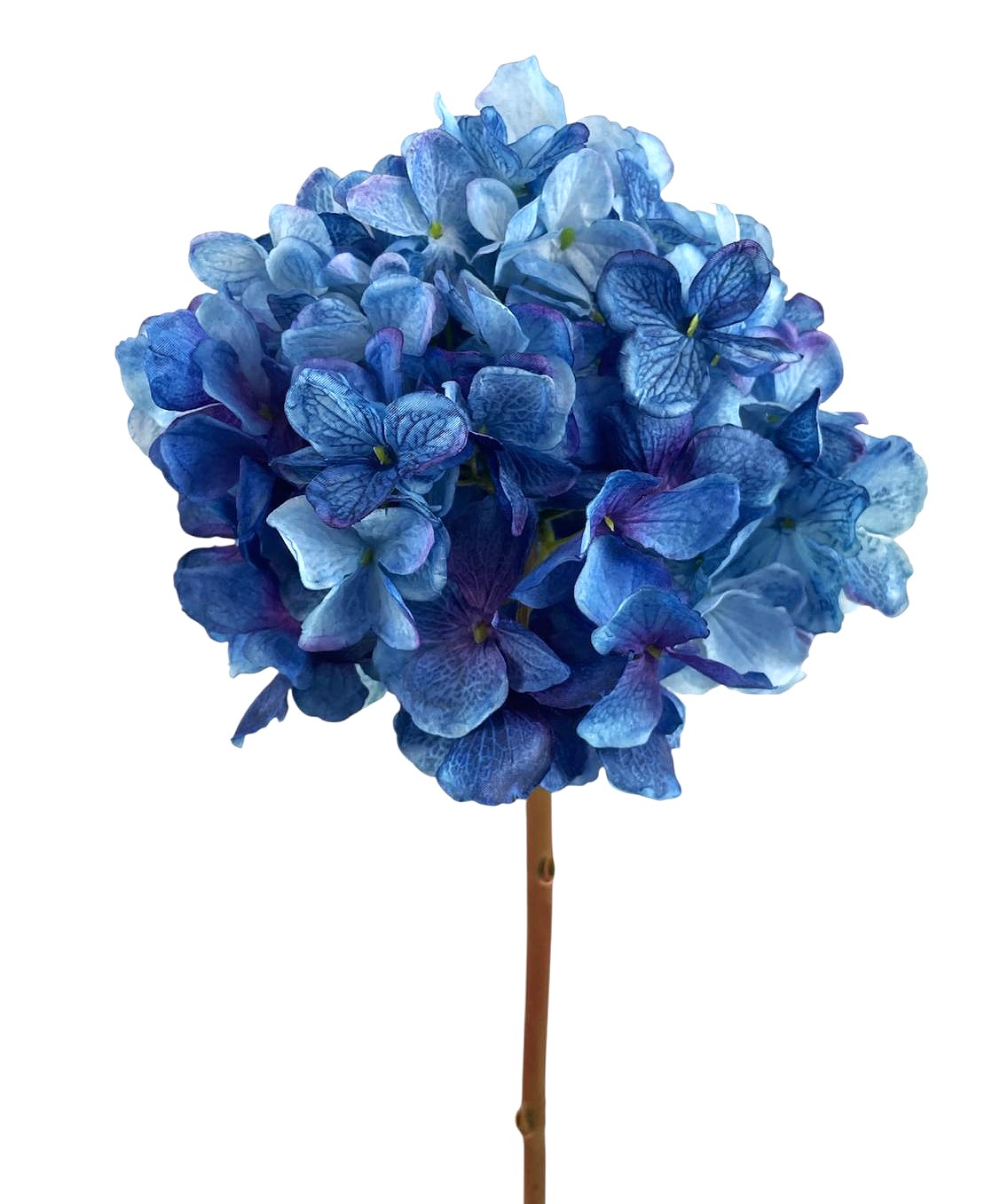 ORTENSIA SPRAY X1 65CM BL