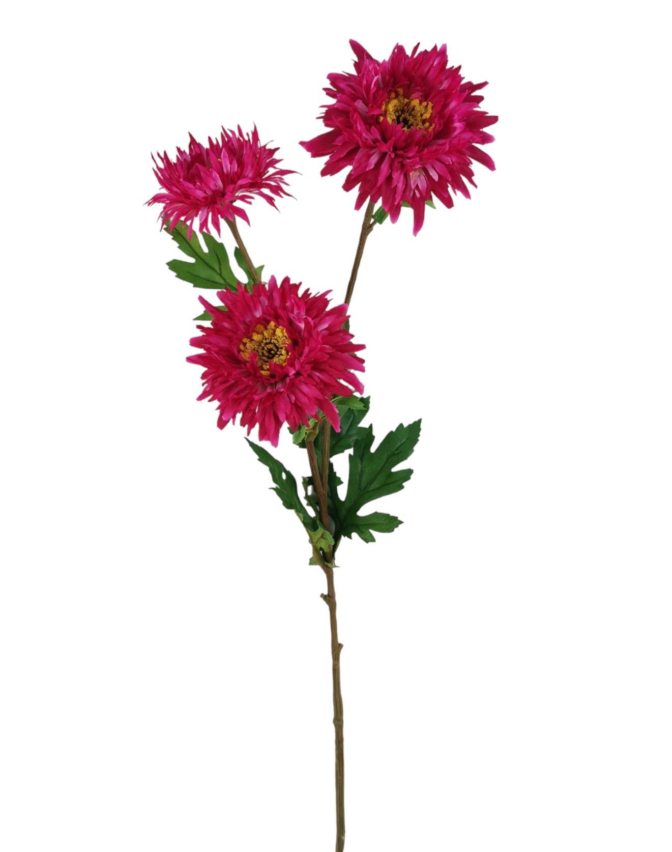 ASTER SPRAY X3 73CM BT