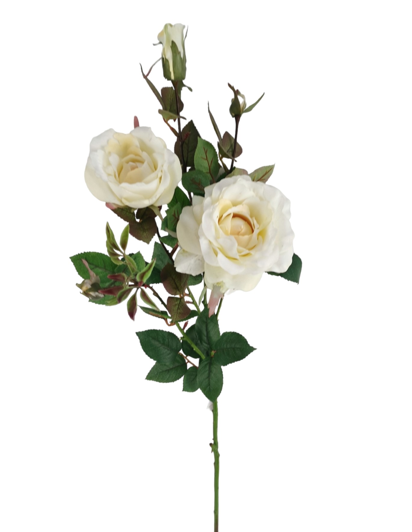 ROSA MARGARET 96CM CR