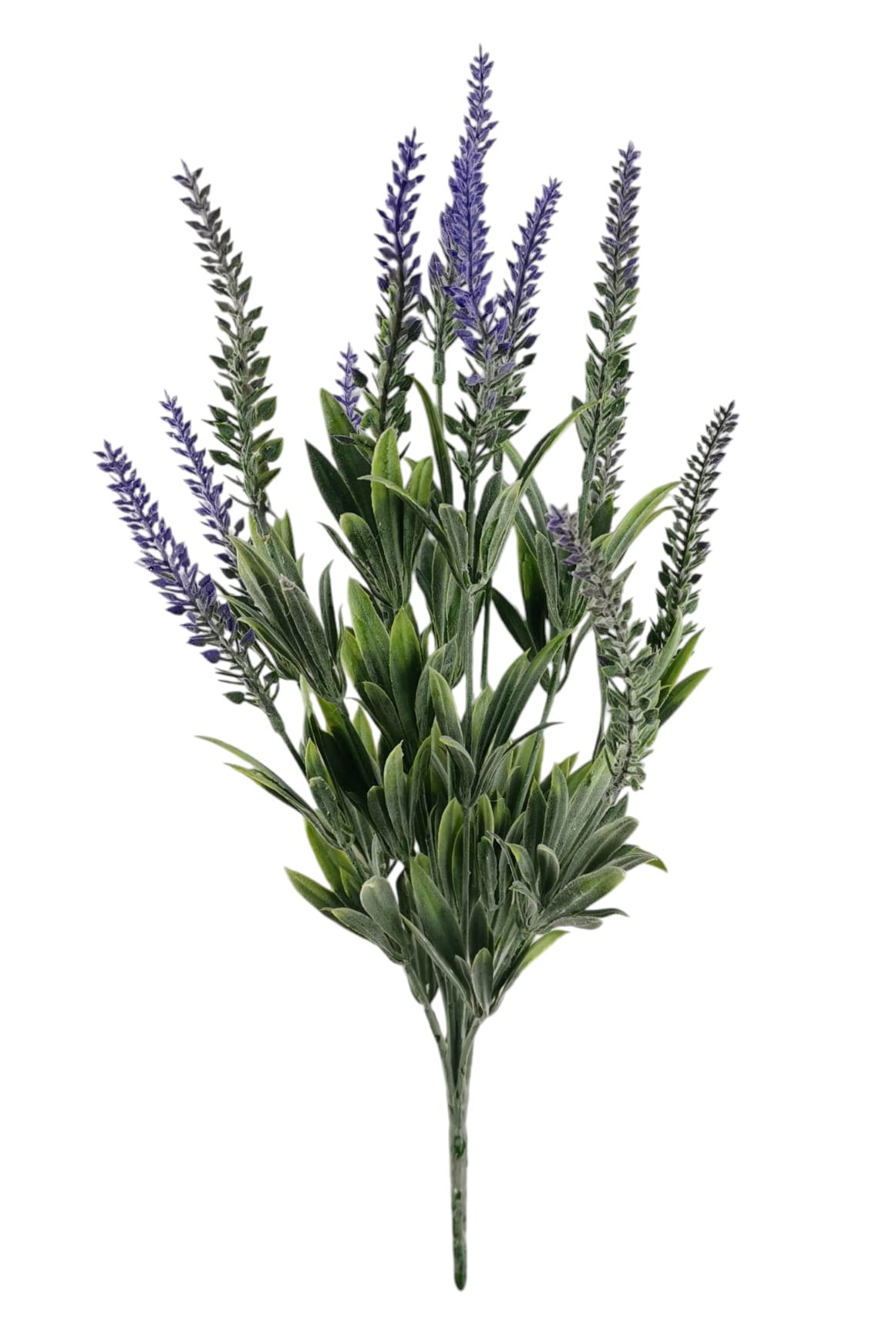 BUSH LAVANDA X12 49CM LV
