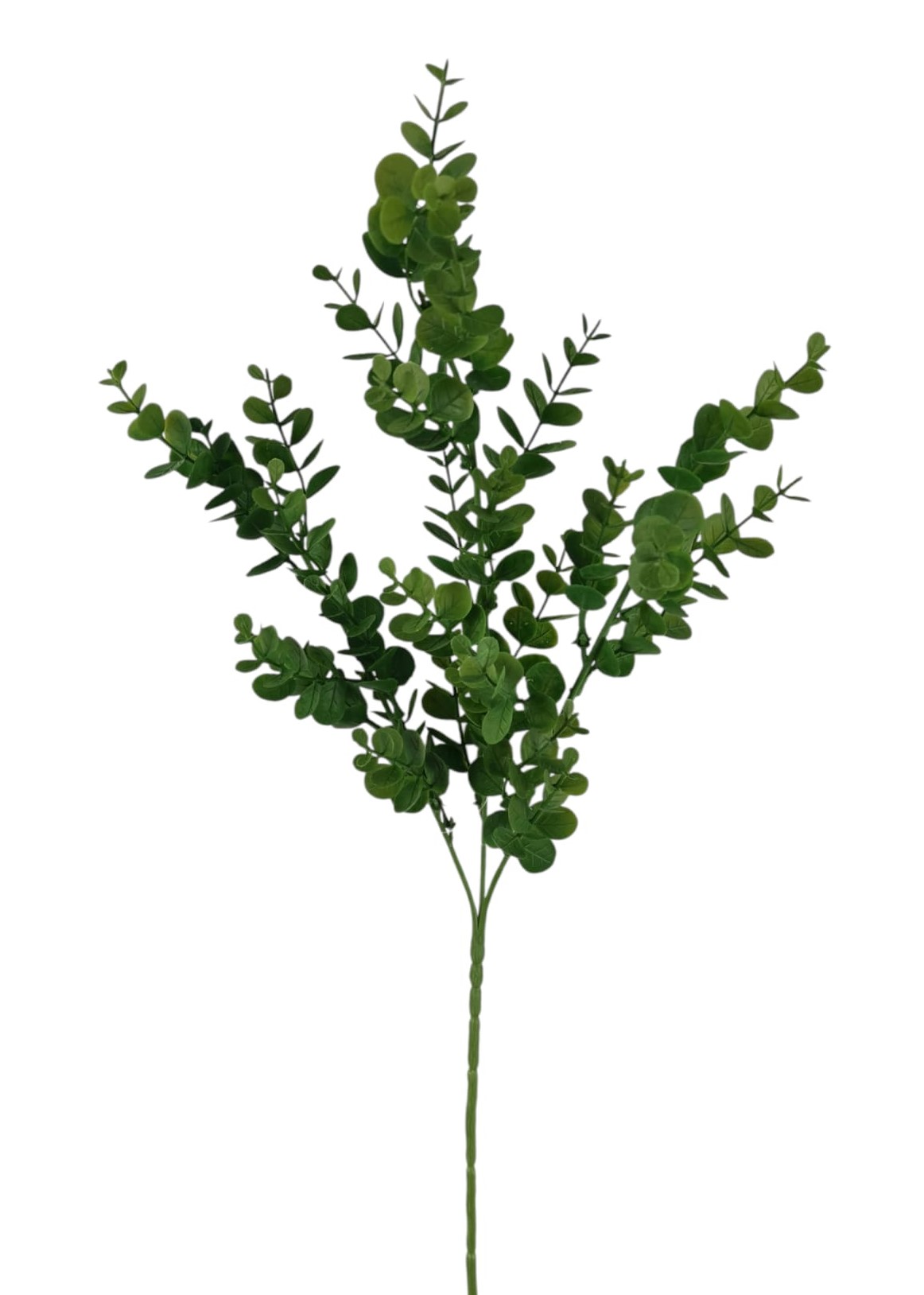 EUCALIPTO X5 67CM GR