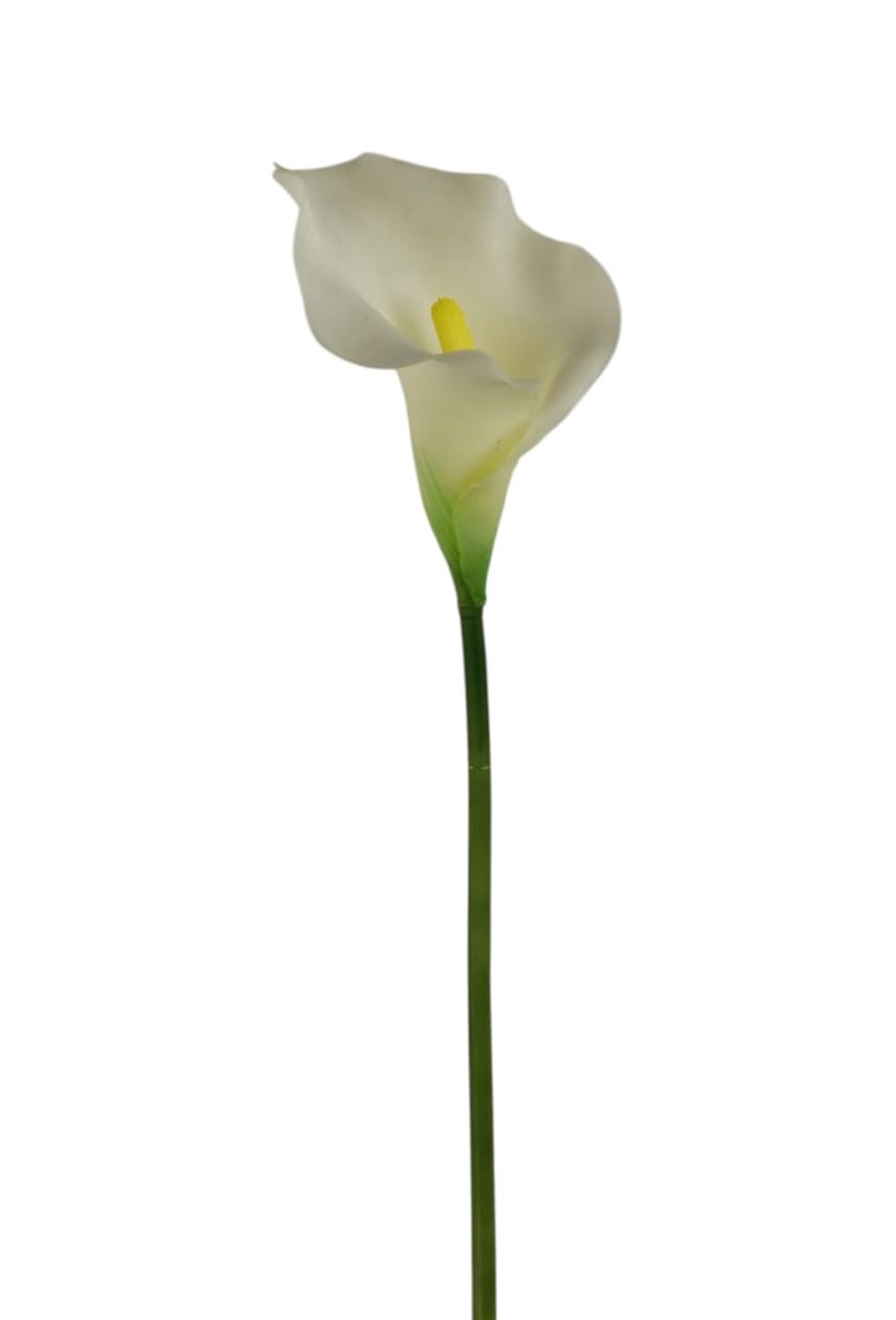 CALLA GOMMA RT 66CM WH