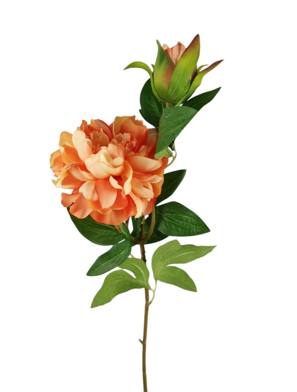 PEONIA SPRAY X2 65CM OR