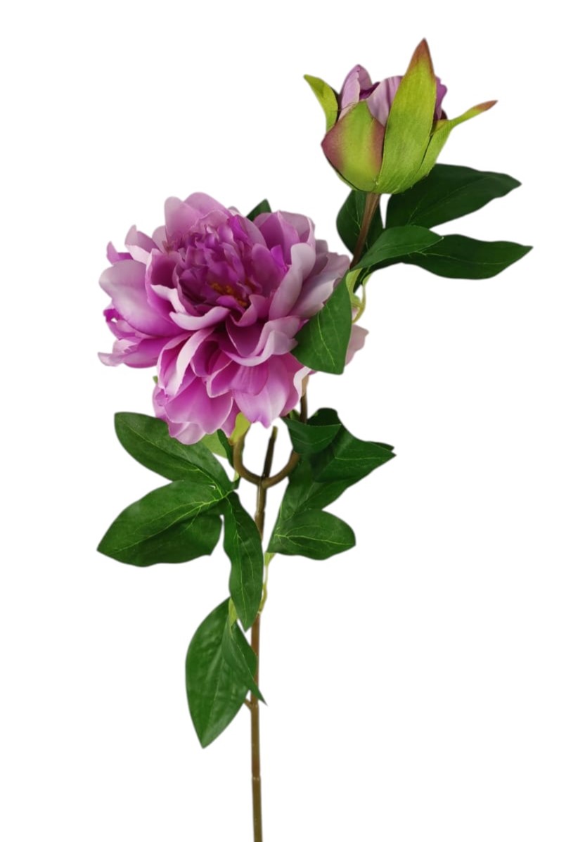 PEONIA SPRAY X2 65CM PU