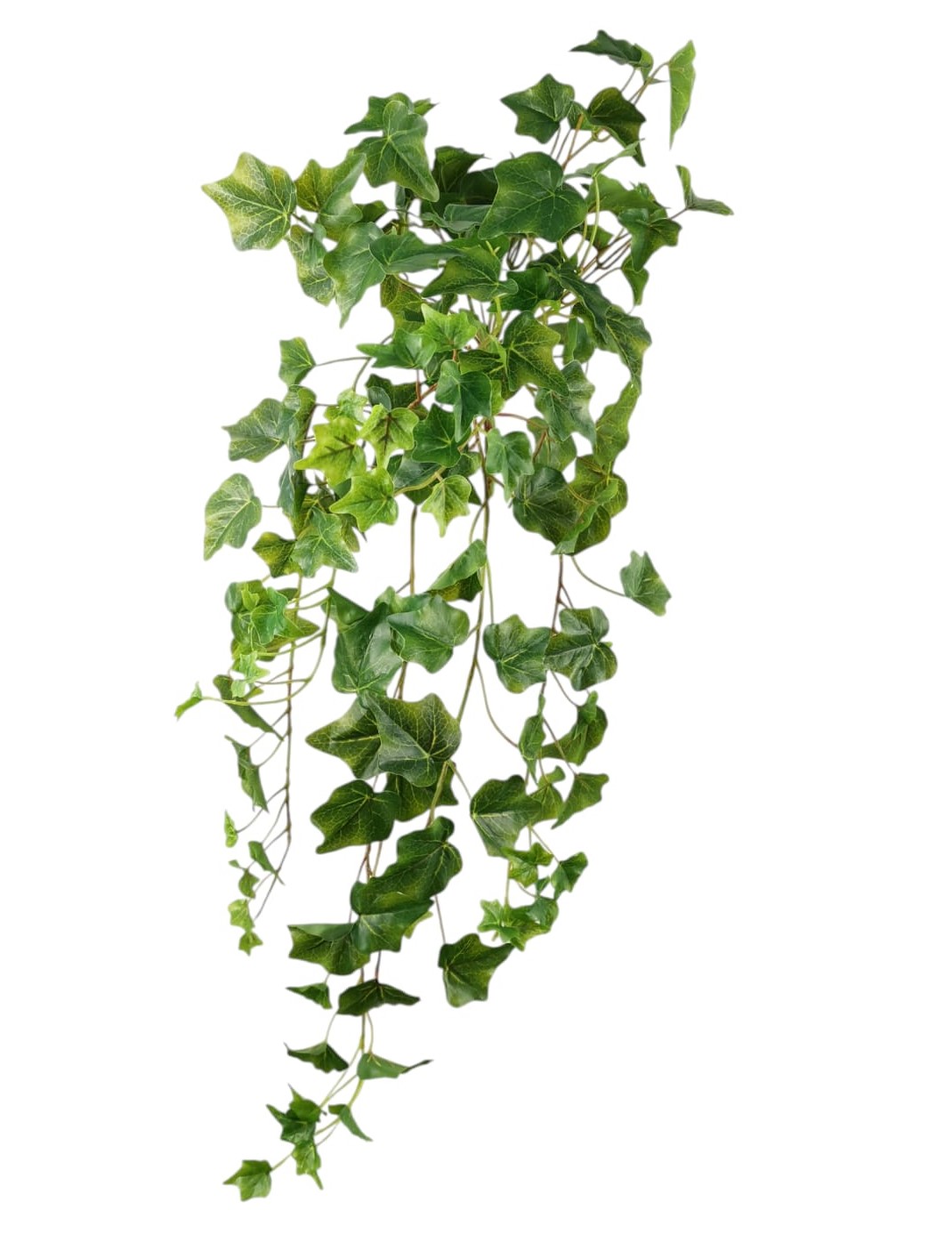 CADENTE EDERA X13 144LVS 74CM GR