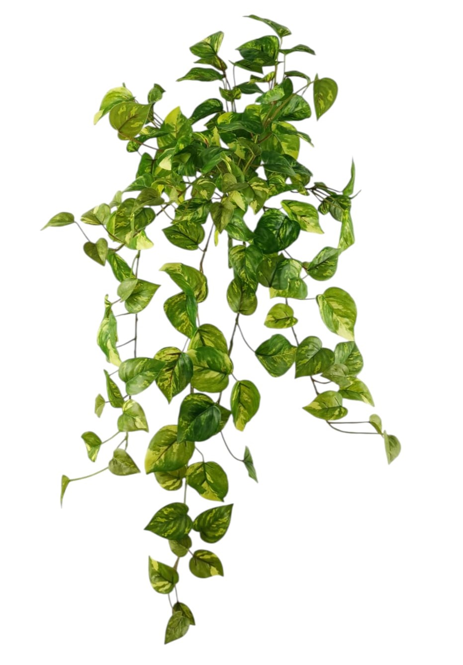 CADENTE POTHOS X13 144LVS 74CM GR