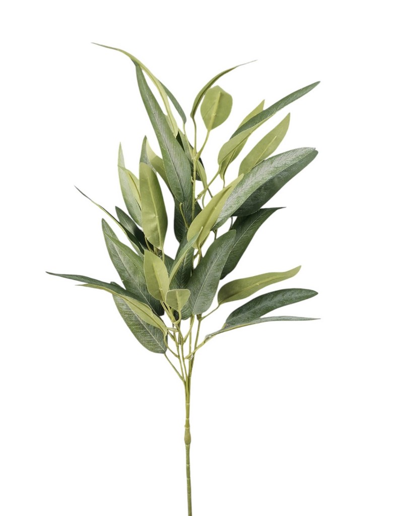EUCALIPTUS WILLOW SPRAY X4 90CM GR
