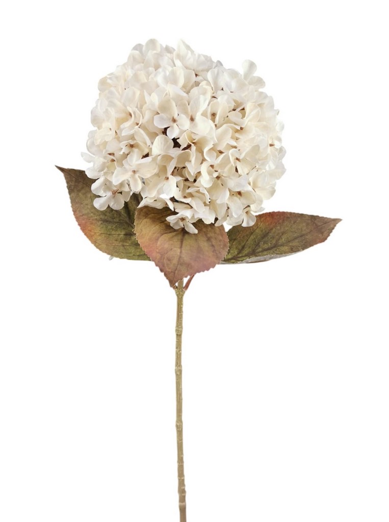 ORTENSIA SPRAY 70CM CR