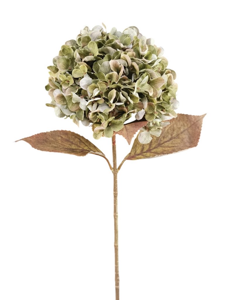 ORTENSIA SPRAY 70CM GR