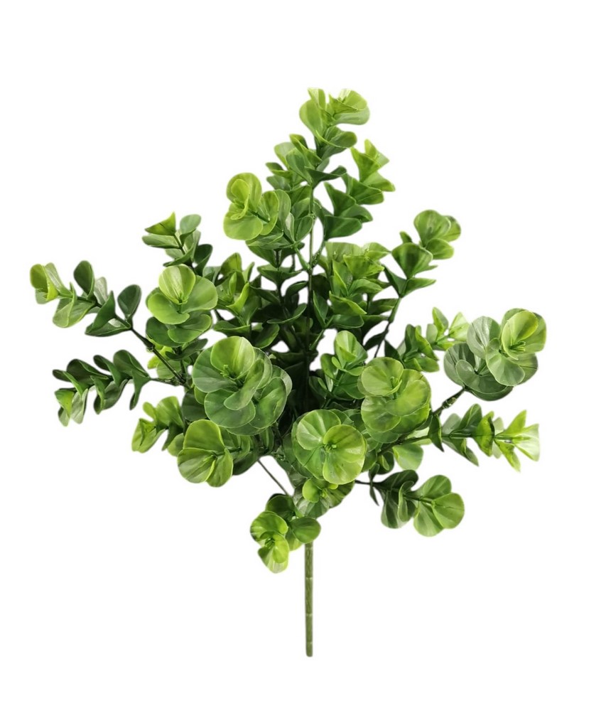 BUSH EUCALIPTUS X7 41CM GR