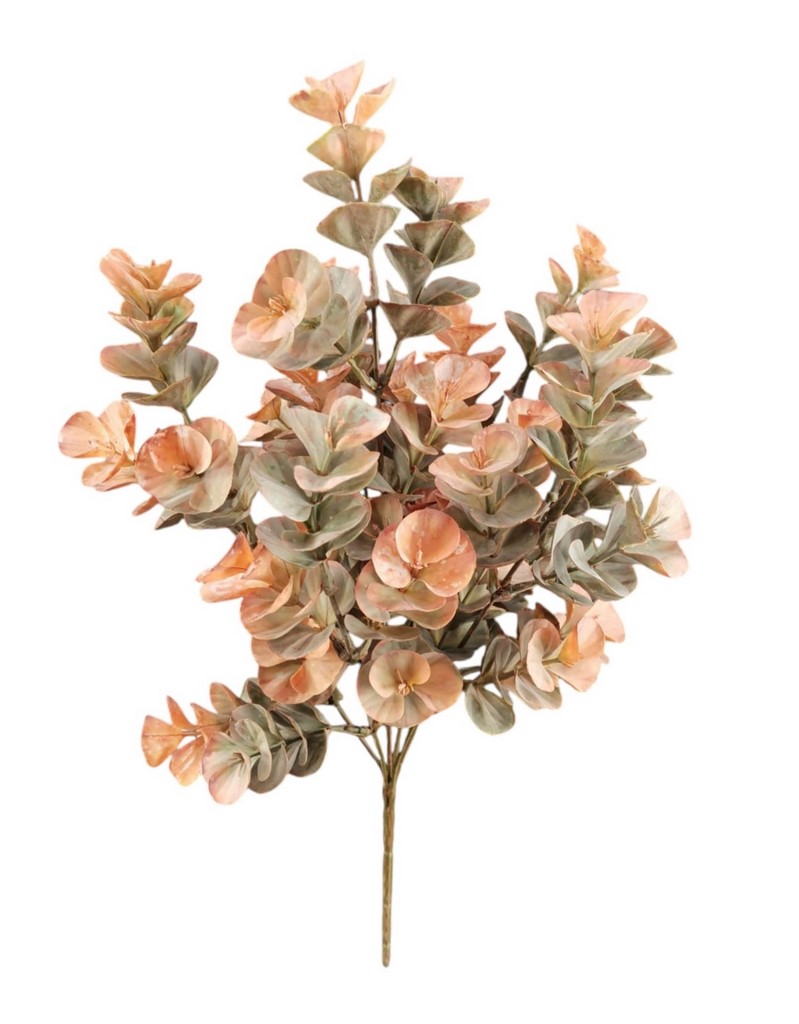 BUSH EUCALIPTUS X7 41CM OR